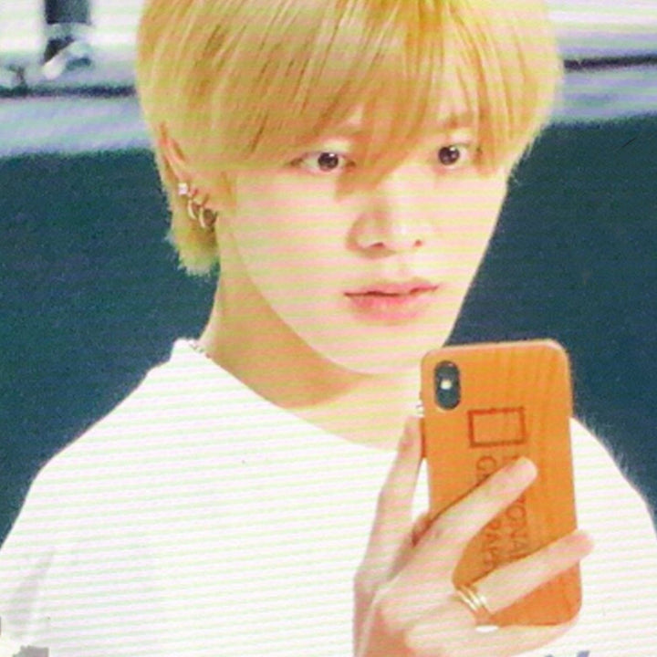 NATIONAL GEOGRAPHIC Cases & Covers National GeographicNature Wood Case iPhone X