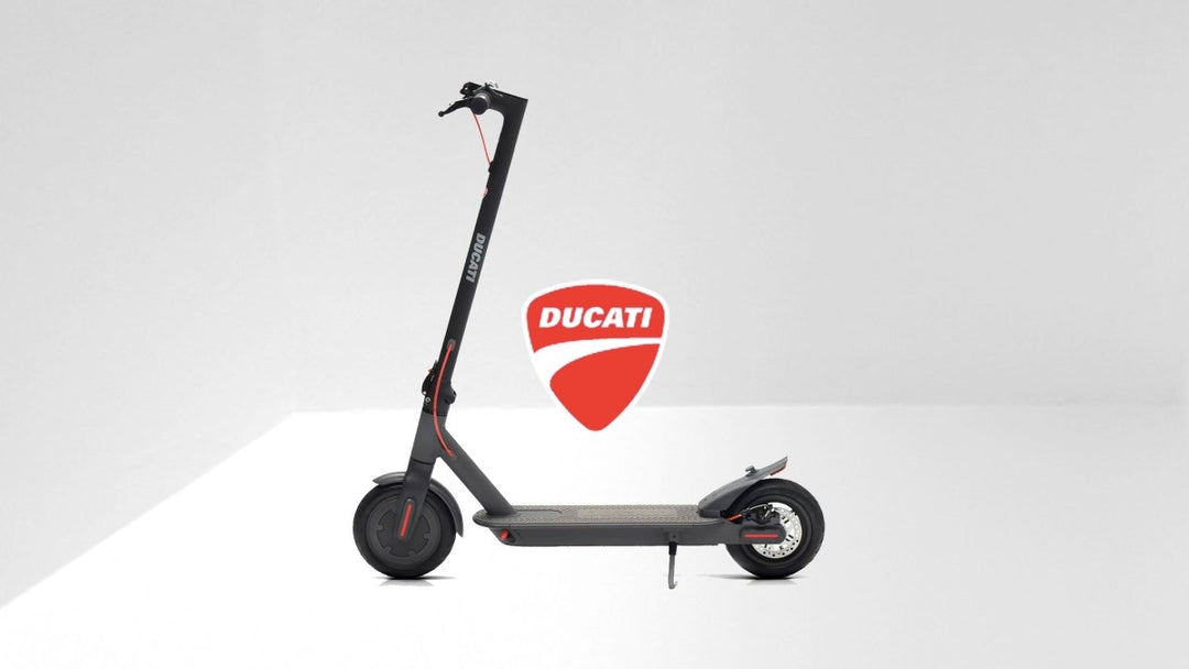 Ducati - Technica